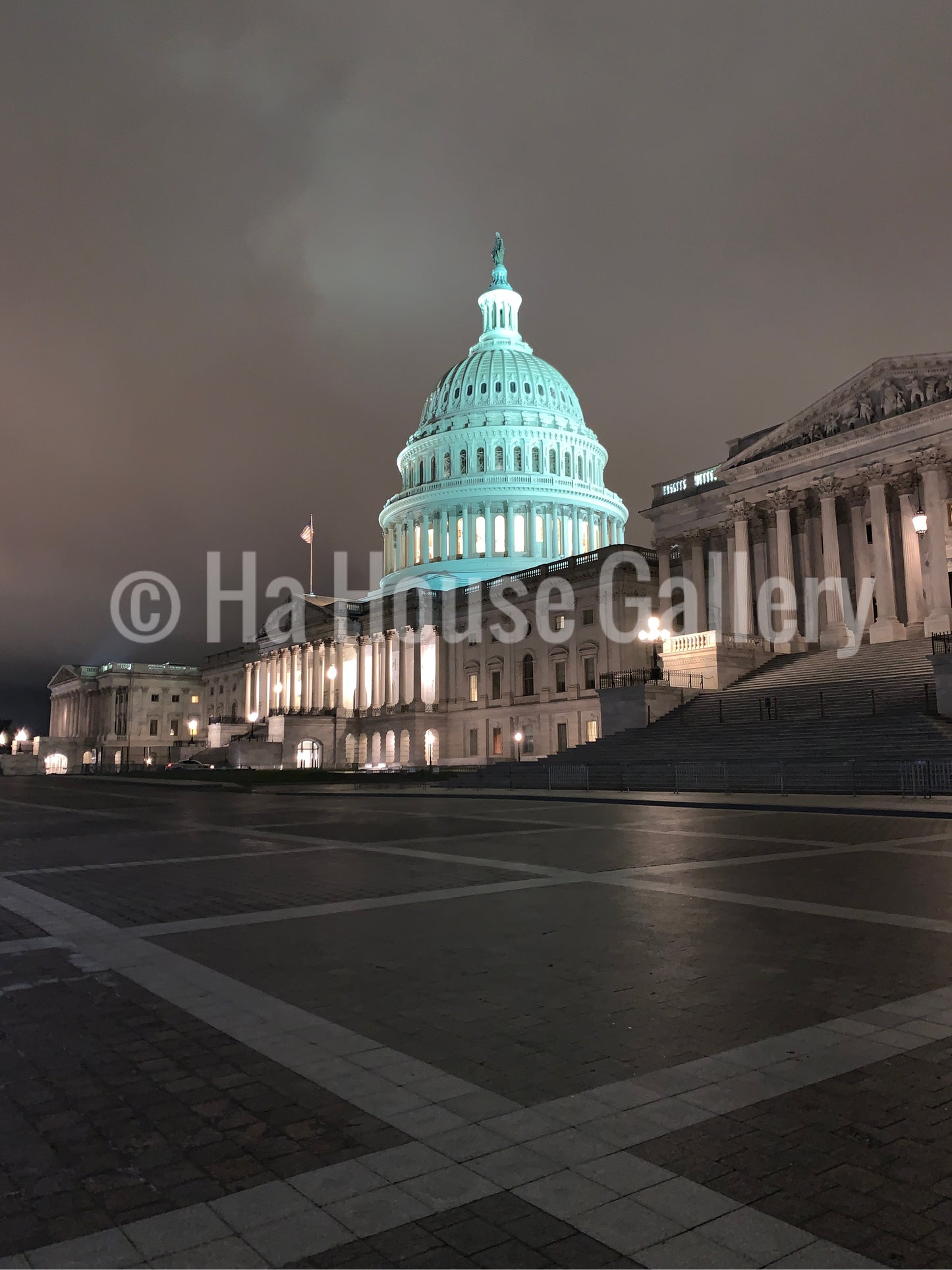 Washington, D.C. Capitol (Prints)